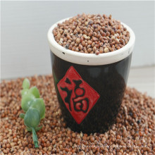 Chinesisches rotes Sorghum